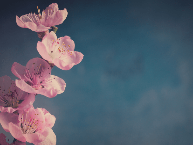 Daily prompt – My life without&nbsp;music?